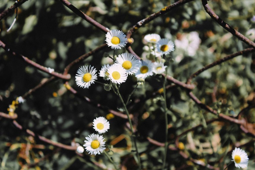 link building for seo