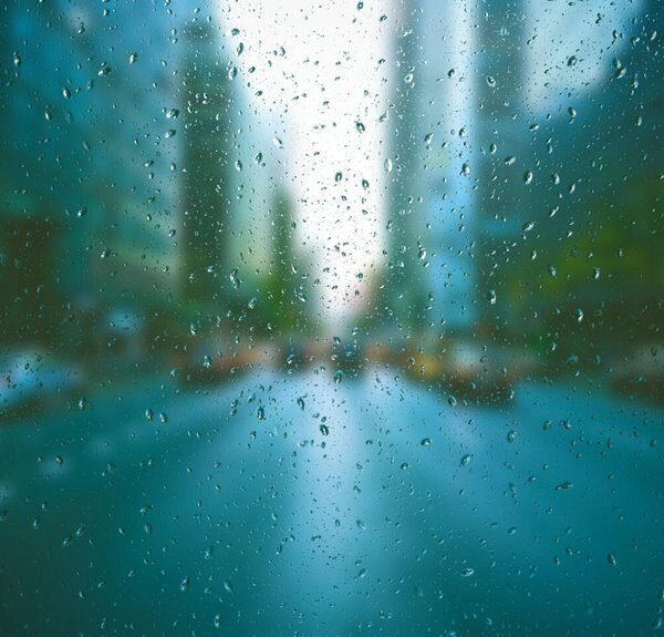 website traffic authority seo